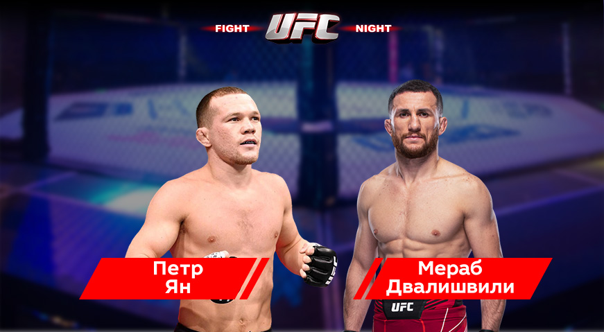 Прогноз на бой Петр Ян (РФ) — Мераб Двалишвили (Грузия) 12.03.2023 (07:30 UTC +6) UFC 221